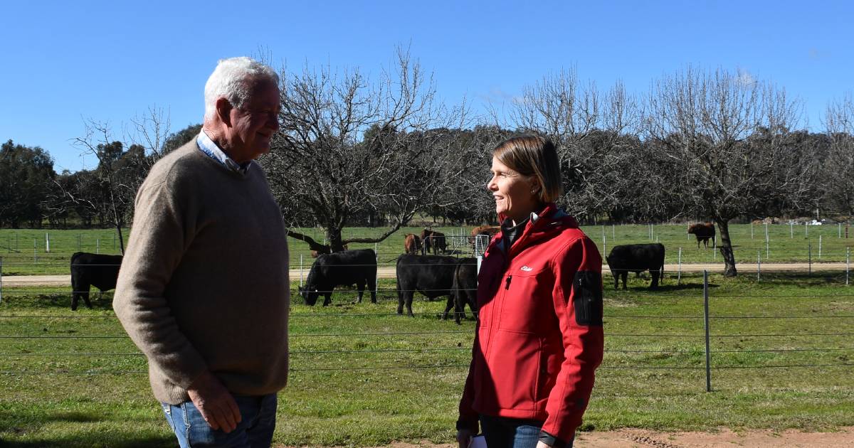 Day one of Boehringer Ingelheim Southern Beef Week | The Land