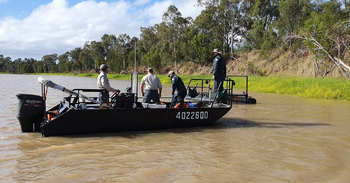 Large 4.5m saltie caught in Fitzroy River