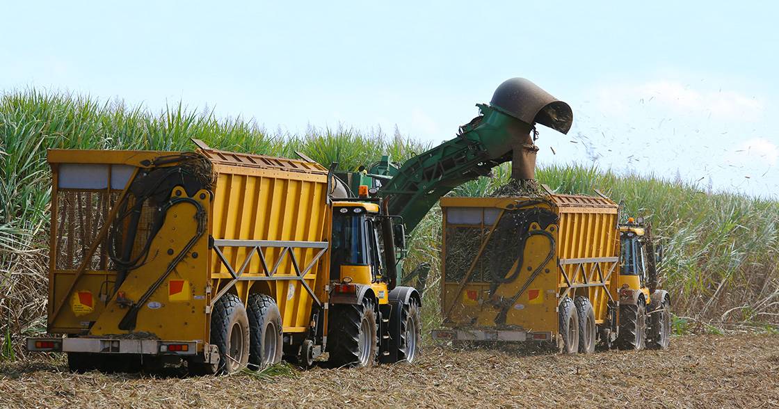 Australia’s first raw sugar shipment for the UK under the new free trade agreement sets sail tomorrow | North Queensland Register