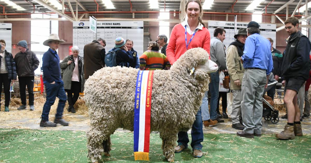 Mount Ascot take home multiple awards from Australian Sheep & Wool Show