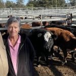 Marie Vitelli retires after 40 years of rural advocacy | Queensland Country Life