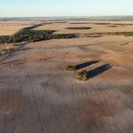 Australian beef key to cutting global hunger and carbon: Cattle Australia