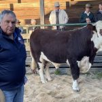 Canada to establish a vaccine bank for foot-and-mouth disease