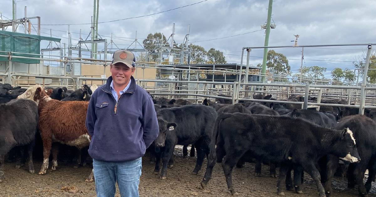 Angus weaners sell to $890 at Dubbo