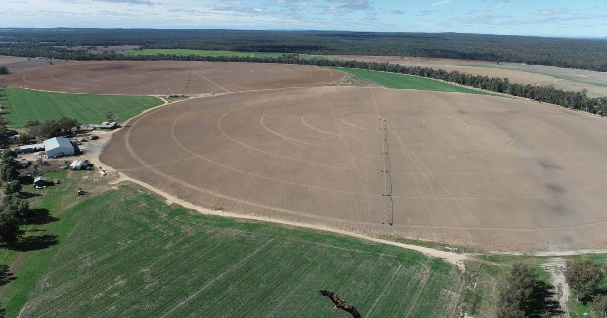 Negotiations continue on irrigation farms with 1000ML of water