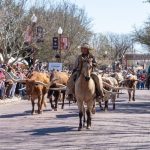 S3 Ep23: Cattle Australia chief executive Luke Bowen