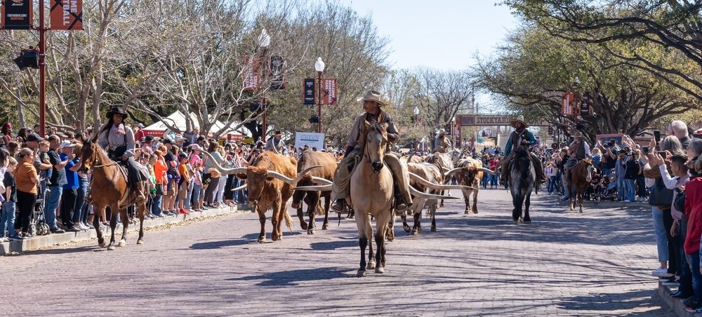 Bookings open for Beef Central’s 2024 US study tour