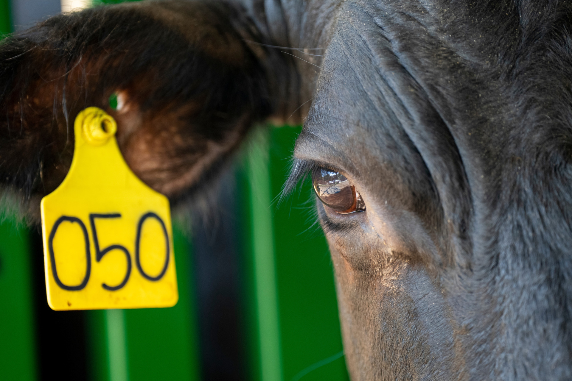 Texas A&M short course to showcase ranch technology