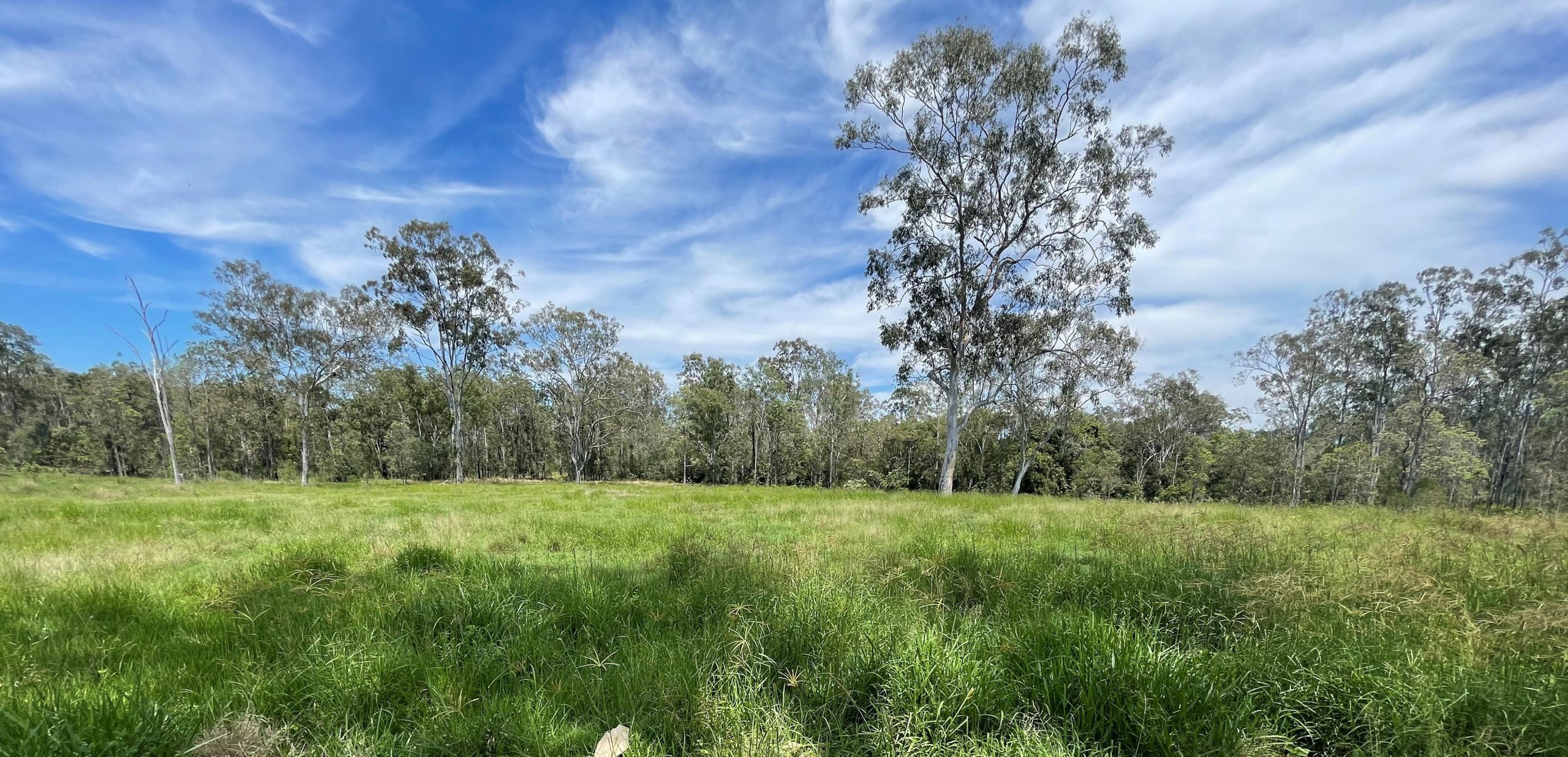 Soil carbon credits starting to flow with another project awarded