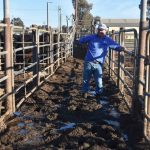 Paddock tent, woolshed pen, an extra tractor seat: welcome to farm childcare