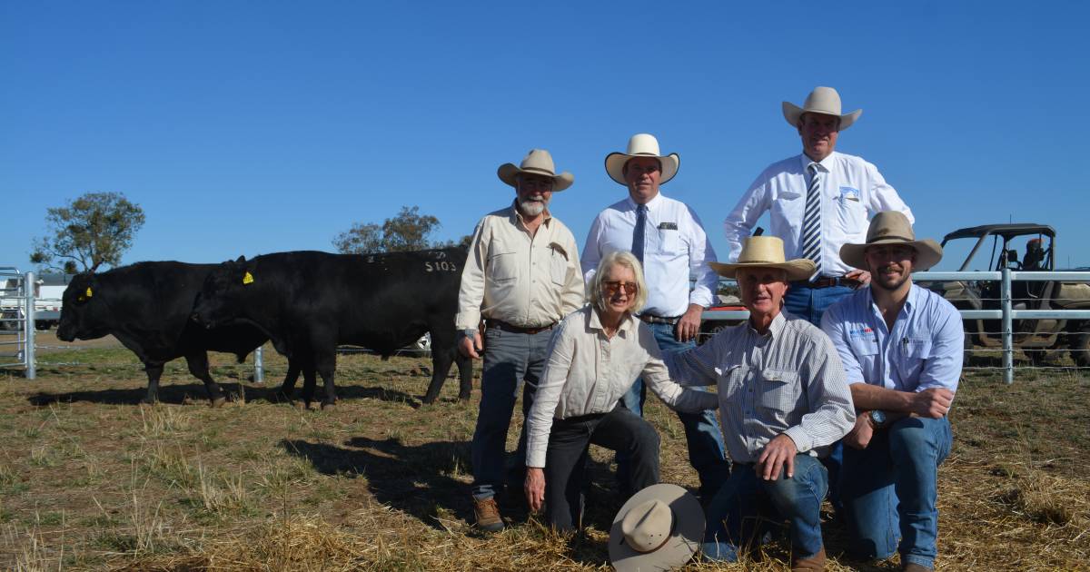 Tivoli Angus tops at $16,000 for $8,500 average | The Land