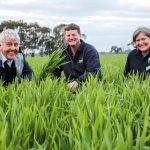 LSD testing concludes at Charters Towers yards