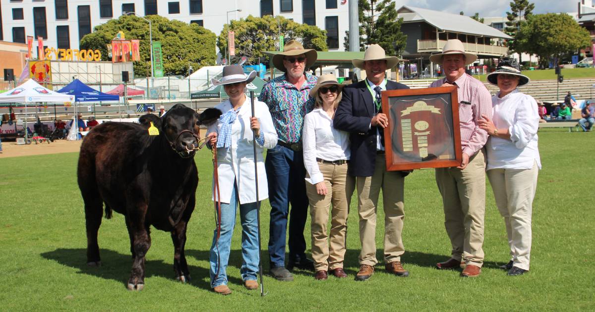 Steer that nearly died at birth takes grand champ at Brisbane Royal