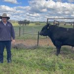 Dairy youth on display