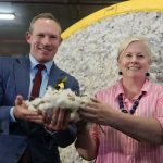 Live sheep export alternatives require time to avoid industry crisis | Farm Weekly