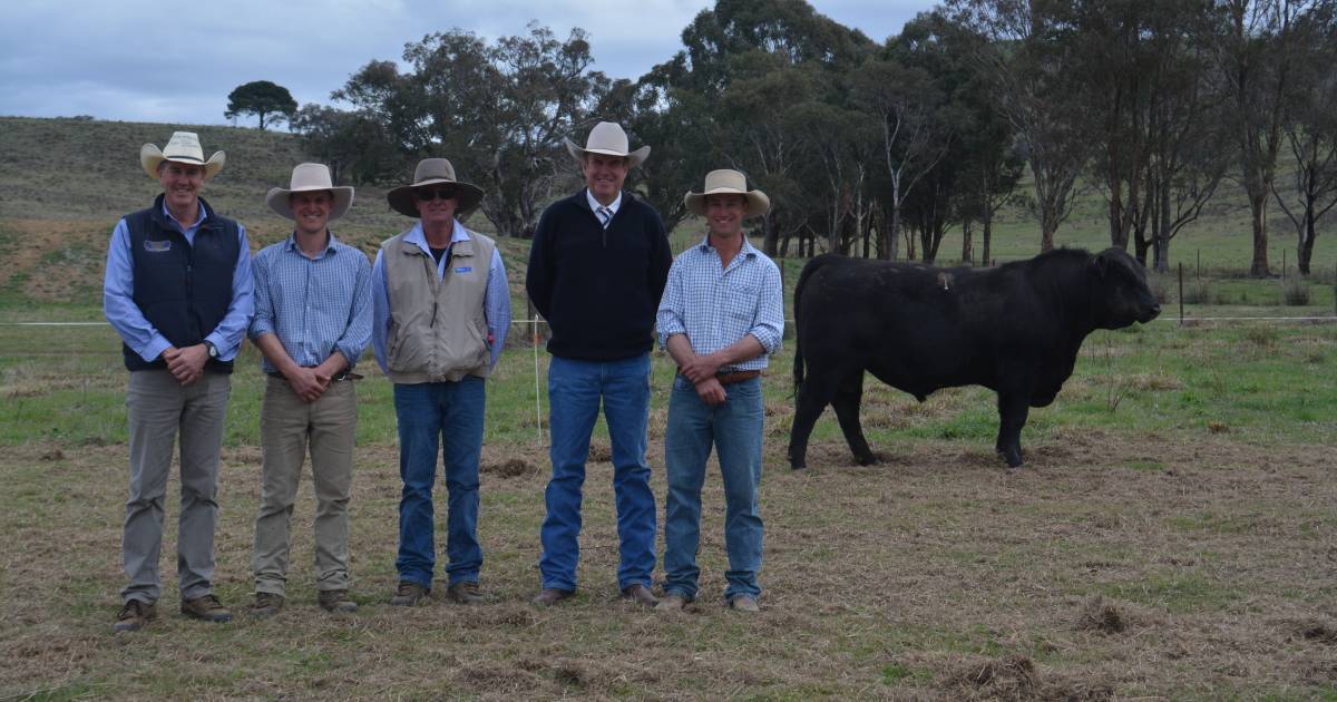 Coffin Creek Angus sold to $40,000.