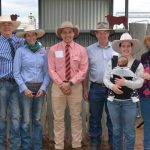 Live sheep ban sets dangerous social license precedent say Grain Producers | Queensland Country Life