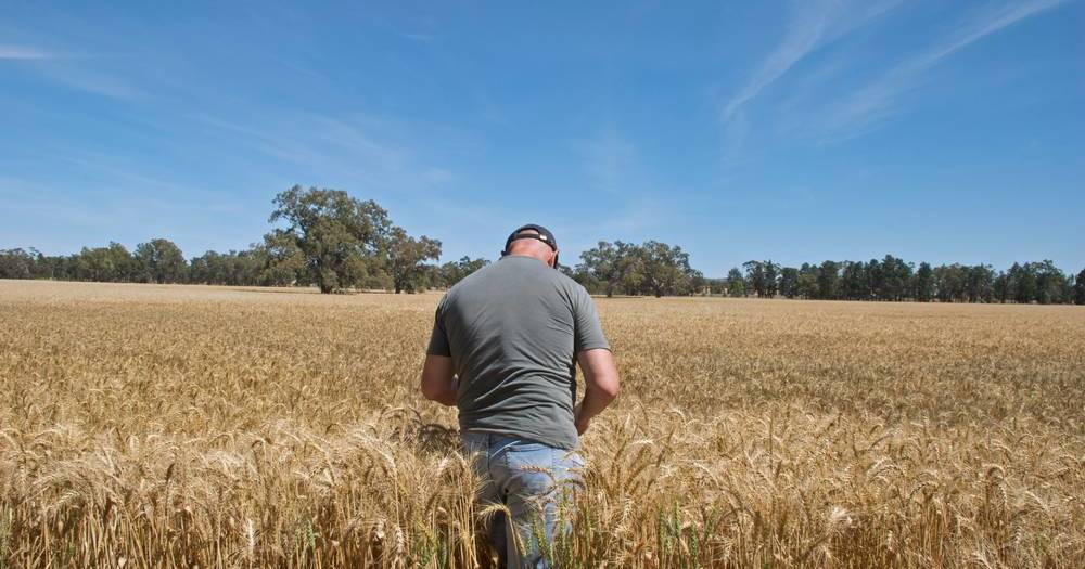 NSW Farmers reject European demands on farming practices | The Land