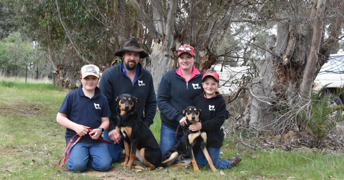 Faces around the grounds at Wagga Working Dog Auction