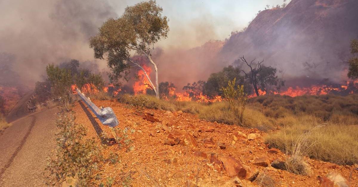 Get ready for bushfire season: 'what have you got to lose?'