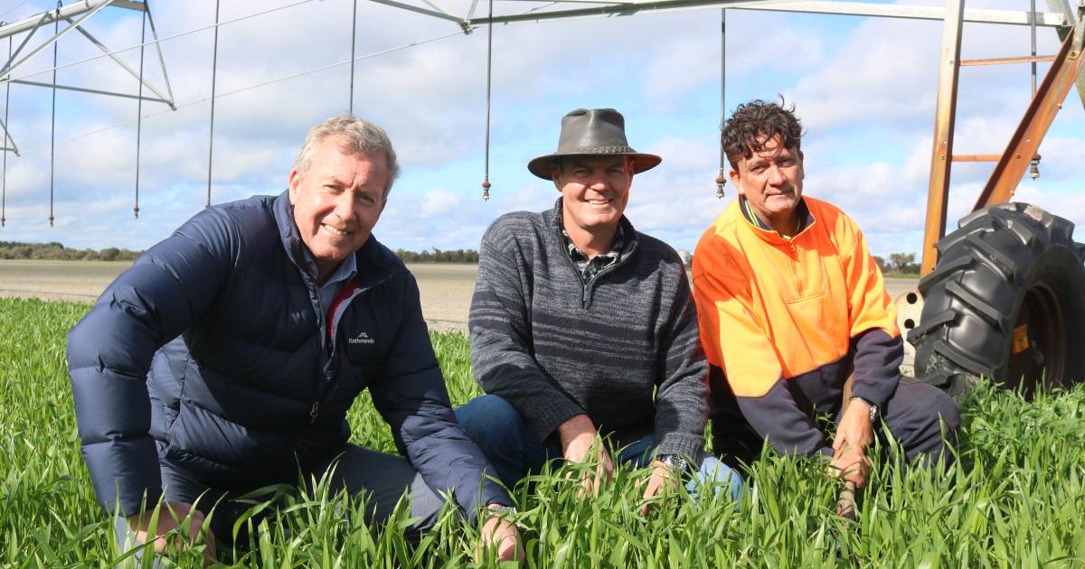 Minister Reece Whitby visits FOGO compost facility and Willgrow Farm in Gingin | Farm Weekly