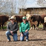 Steers top Coonamble at $950