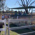 Progress made on management plan to reopen Camooweal campsites