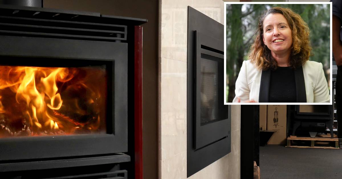 Environment Minister Rebecca Vassarotti says wood heaters will be banned by 2045 | The Land