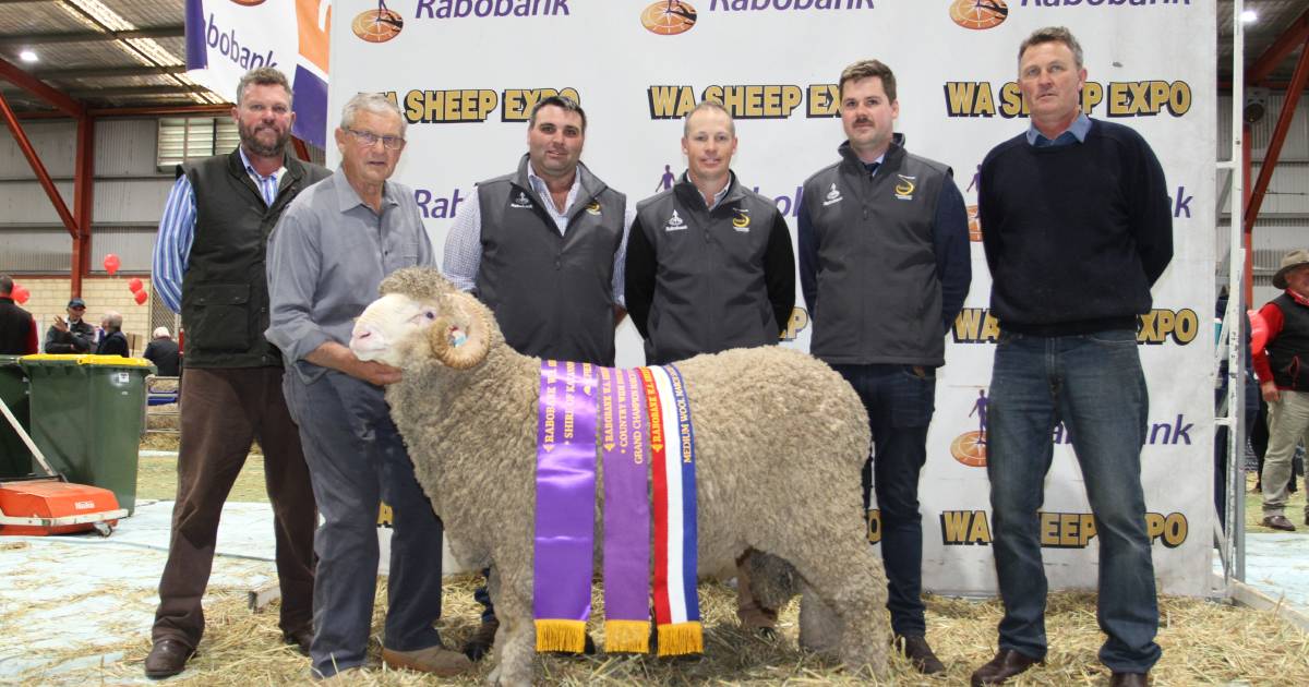 Angenup stud wins supreme ribbon | Farm Weekly