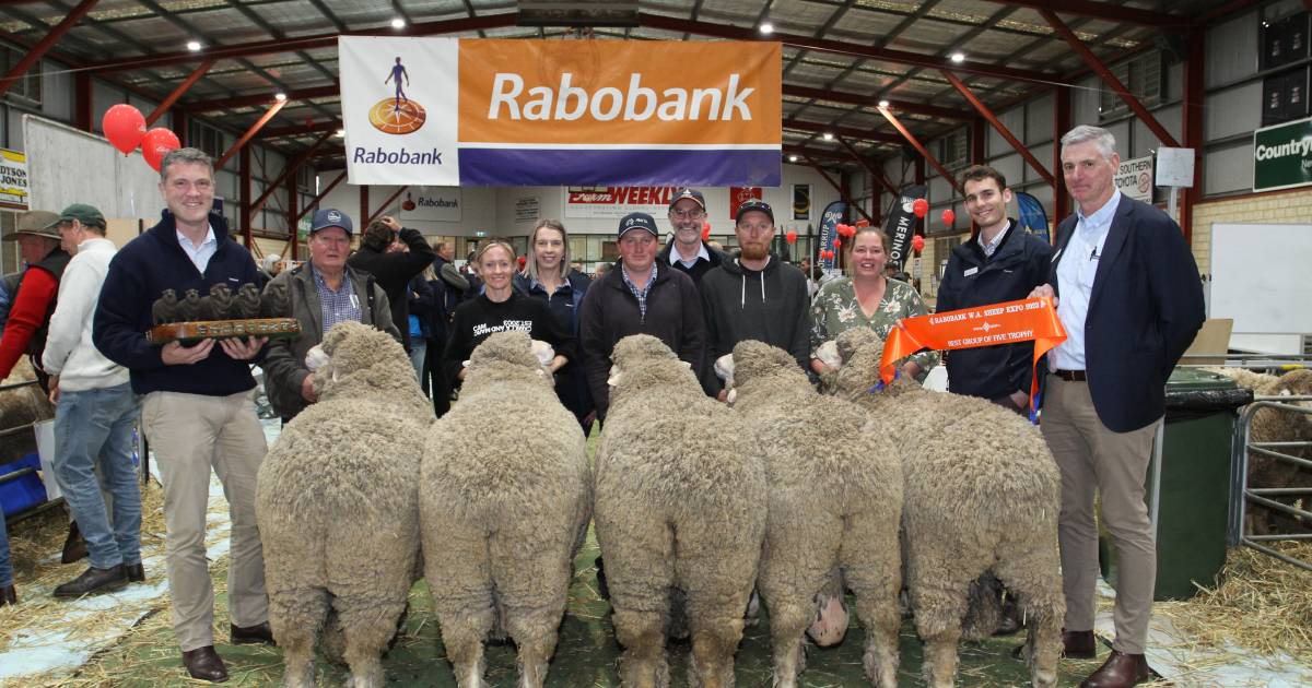 Rabobank best of five to Lewisdale stud | Farm Weekly