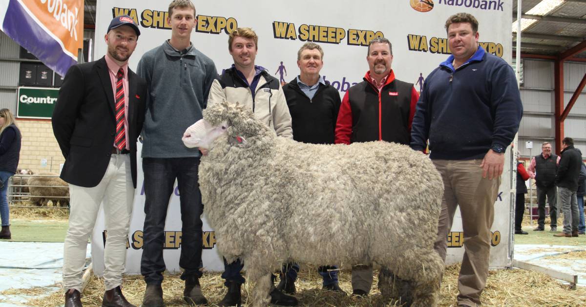 Westerdale sire tops Katanning at $41,000 | Farm Weekly