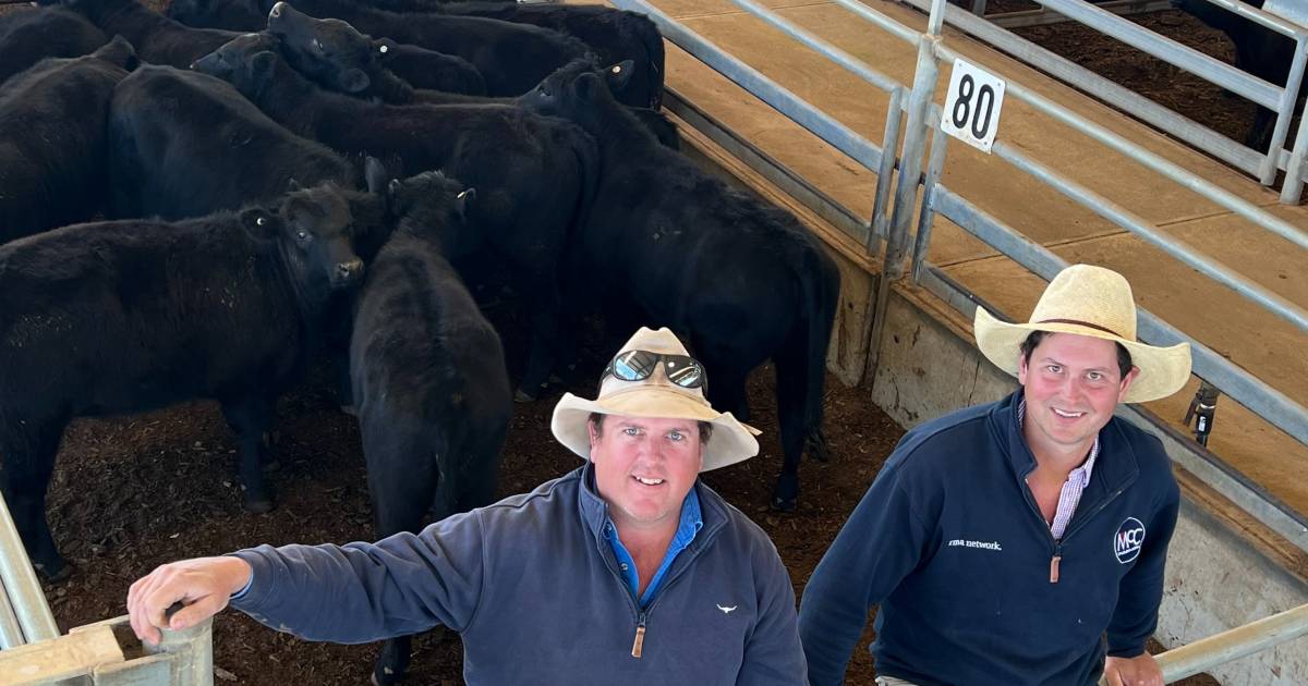 Cows and calves top Forbes store sale at $1540