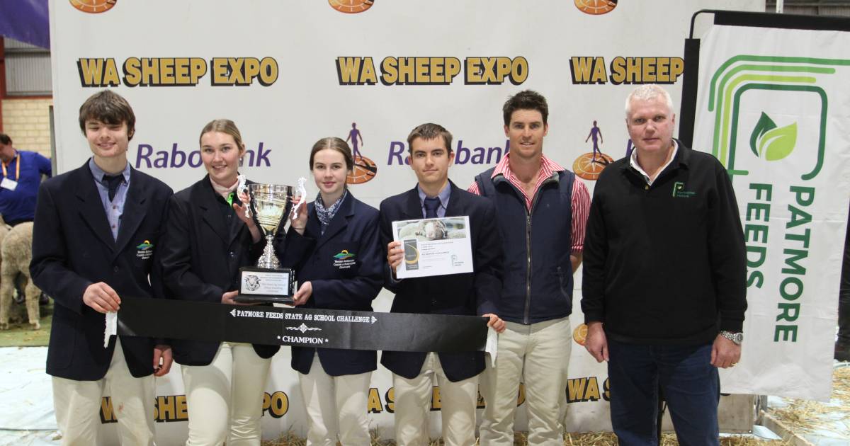 Ranking rams the challenge for ag students at Katanning