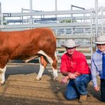 Groundbreaking held for Illinois meat processing facility