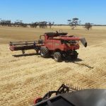 Grain harvest 2023-24: Brett Hosking on