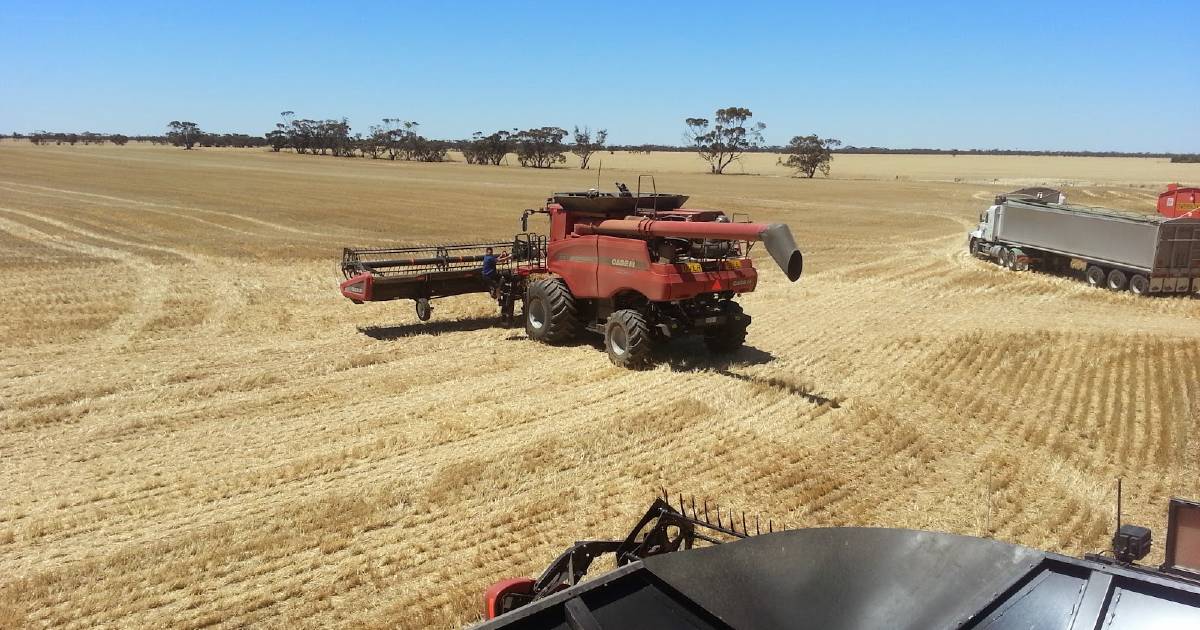 First barley shipment heads to China