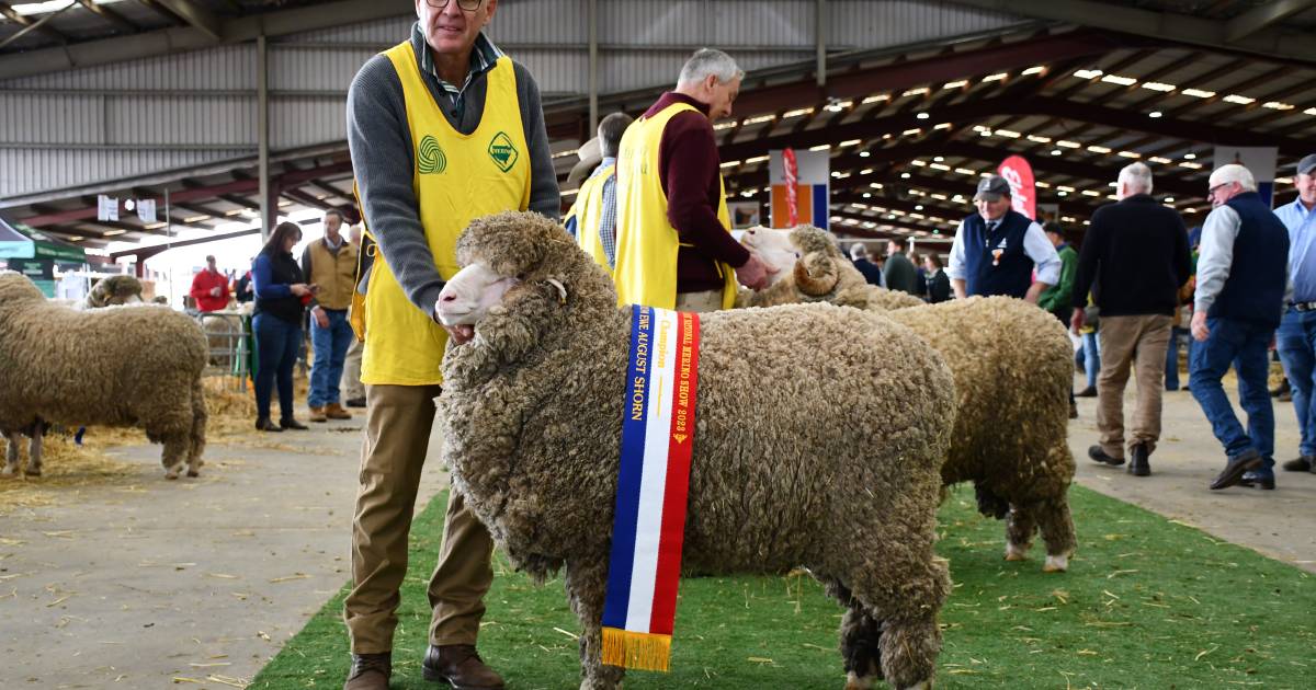 Quadruple champions for Towonga at Merino nationals