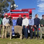 Weaner steers sell for 322c at Biggenden