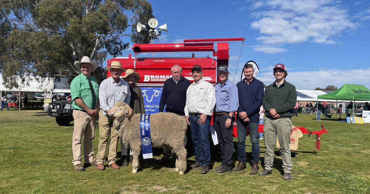 Merino enthusiasts attend sheep field day at Harden| Photos | The Land