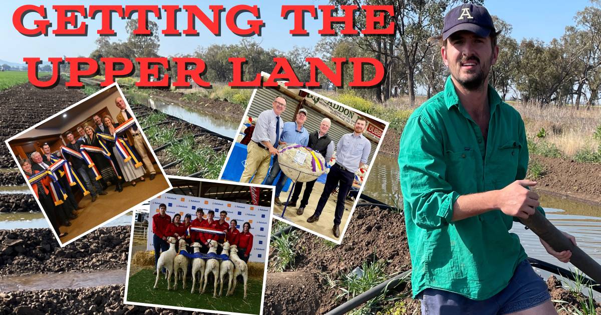 More Varroa detections, a positive durum outlook, restoring churches and sheep show wraps: Getting the Upper Land episode eight | The Land