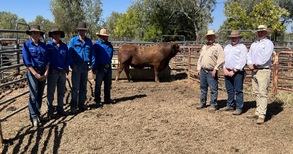 Fitzroy Crossing sale grosses $941,500 | Farm Weekly