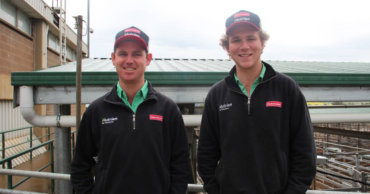 Trainee auctioneers put through their paces