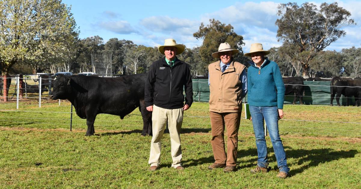 All the results from Rennylea's full clearance sale