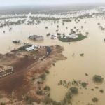 NSW farmers urge government to step up bushfire management in national parks | The Land