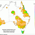 Frost and lack of rain impacting winter oats crops