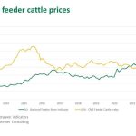 ABS statisics point to national flock rebuild but liquidation just as likely | Farm Weekly