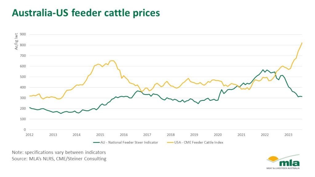 US feeder cattle now 250pc higher than Australian equivalents