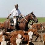 New rodeo champions crowned in fast and furious buckle battle | The North West Star