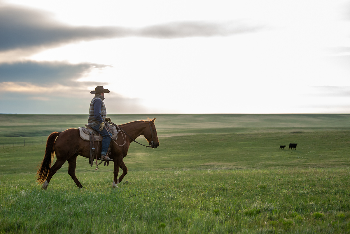 Sysco, Certified Angus Beef announce partnership