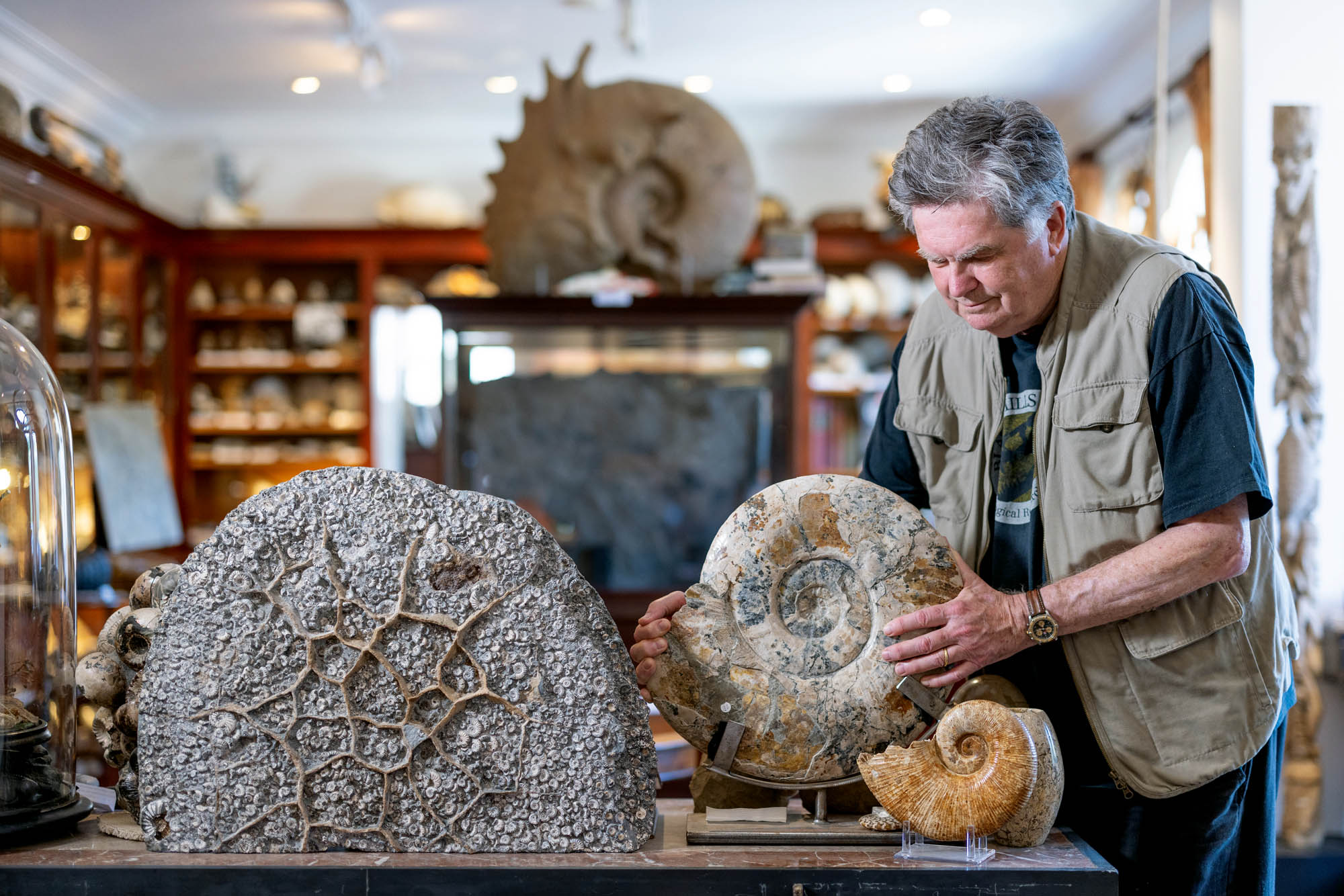 Britain’s elite fossil hunters on their finds of a lifetime